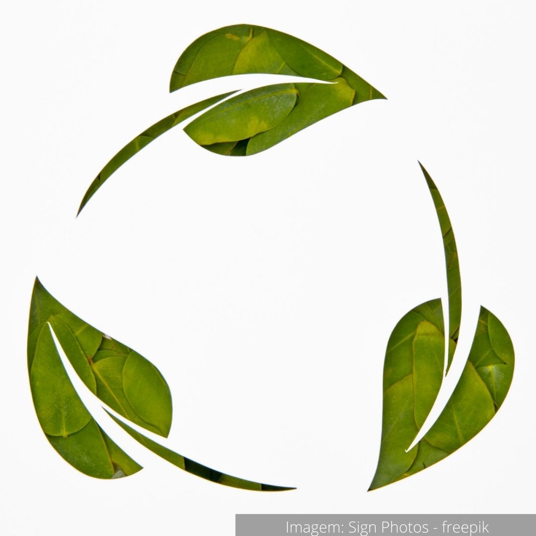 Segunda imagem do post - Tijolo Ecológico, Projeto e Construção