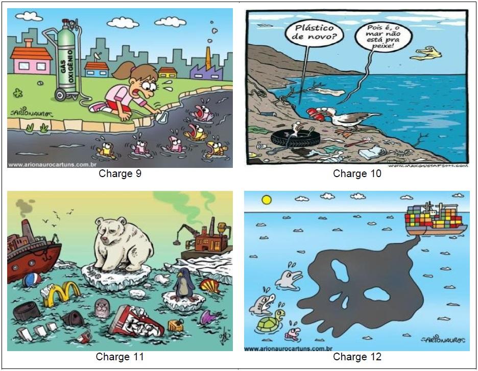 A Proteção Dos Oceanos imagem ilustrativa