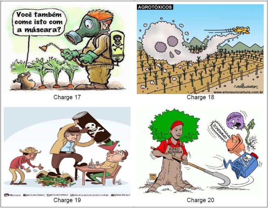 Um modelo alimentar sustentável imagem ilustrativa