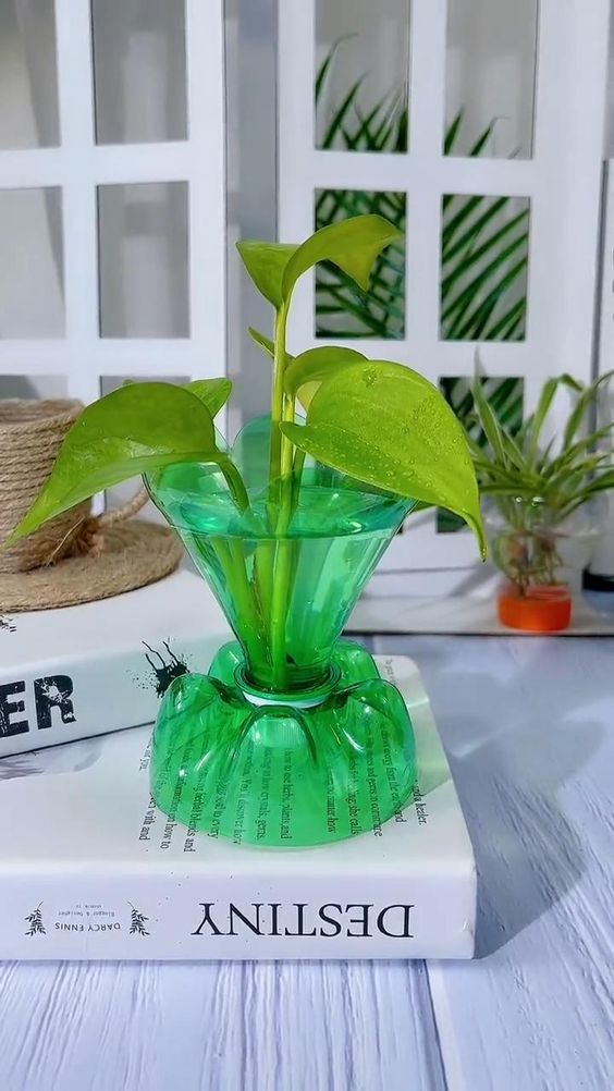 Primeira imagem do post Vaso feito com litro PET