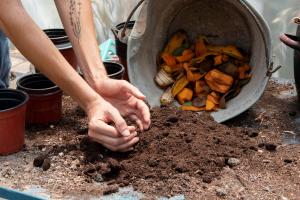 Descubra o poder da Compostagem: Transforme seus resíduos em um jardim florido com estas fases, passo a passo e benefícios surpreendentes Imagem descritiva
